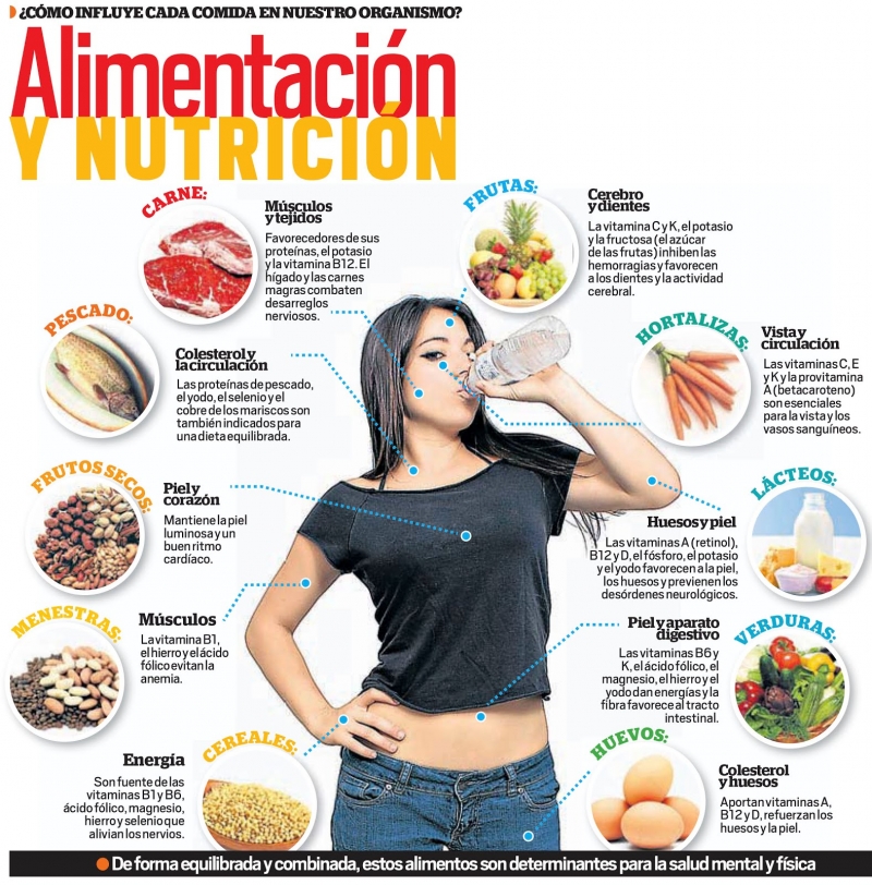La influencia de los distintos alimentos en nuestro cuerpo