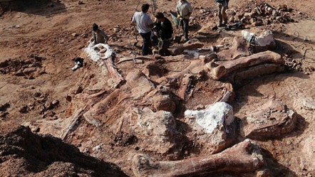 En Argentina vivió el dinosaurio más grande de la tierra