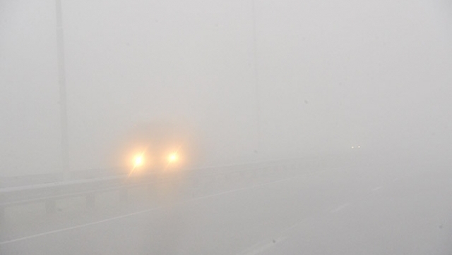 Grandes bancos de niebla afectaron a la provincia
