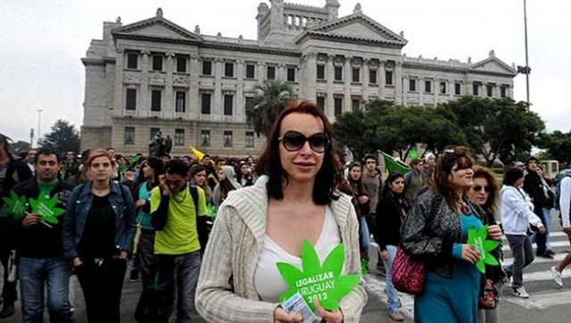 Se debate en el Congreso uruguayo la legalización de la marihuana