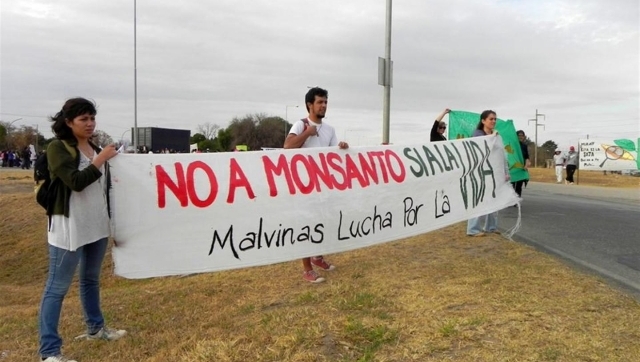 Planta de Monsanto continúa bloqueada por ambientalistas