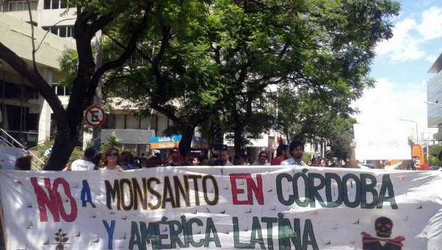 Justicia cordobesa frenó la instalación de Monsanto