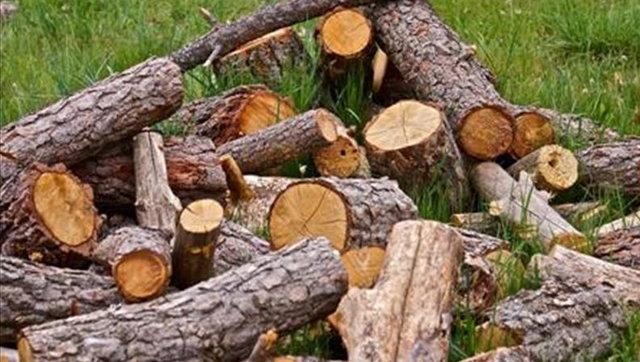 Logran combustibles con residuos forestales en Posadas