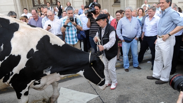 Investigan al presi de la Rural por desvío de un préstamo