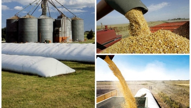 Aún faltan liquidar 19.000 millones de dólares por ventas de granos