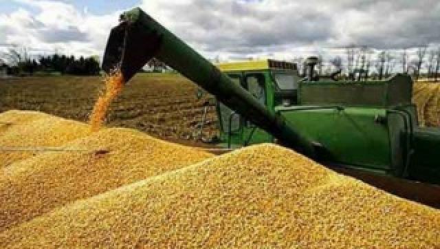 Exportadores responsabilizan a productores por especular con los granos
