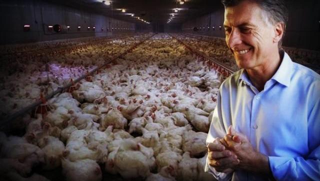 Río Cuarto: en campaña Macri prometió un polo avícola y hoy hay 100 despidos