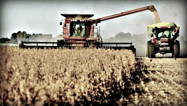 Con lo que no se recaudó por retenciones se podrían haber construido 1680 escuelas