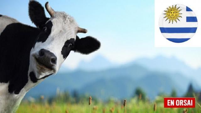 Como en 2001 Argentina volverá a importar carne uruguaya