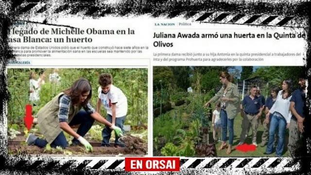 Awada con tacos aguja en la huerta y otras perlitas