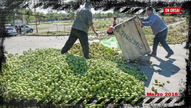 El país en bancarrota: este año habrá que tirar 310mil toneladas de peras