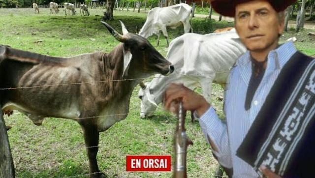 Serenísima cerró otra importante planta en el interior del país