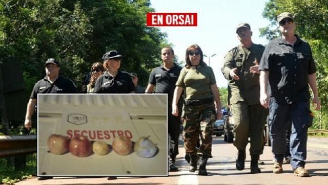 Detienen a dos pibes por el robo de tres manzanas una mandarina y una pera