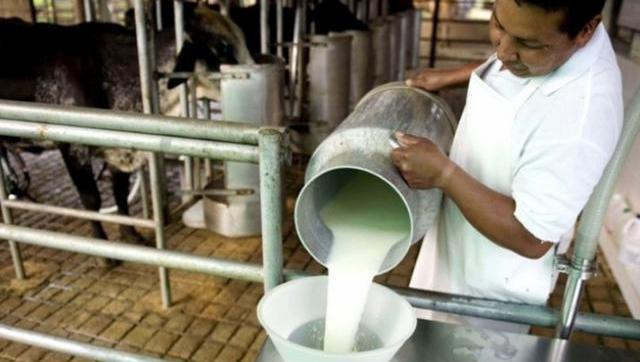 Solo en el último año de gestión de Macri los lácteos aumentaron un 90%