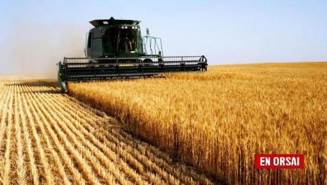 Informe de la UNDAV: el campo no tiene de que preocuparse 