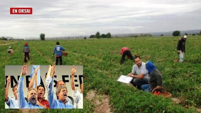 Los patrones del campo tienen el 83% de sus trabajadores en negro