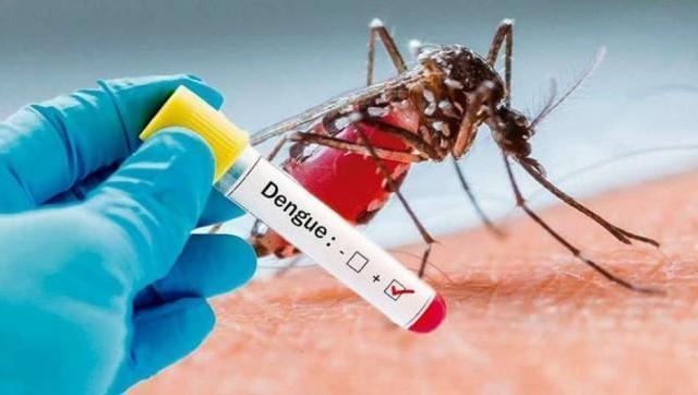 Son casi 700 los casos de dengue en la Ciudad de Buenos Aires