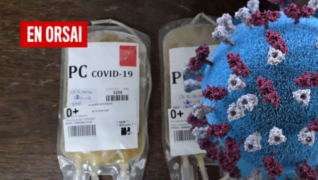 En la provincia ya se realizaron 381 transfusiones con plasma a pacientes con COVID-19