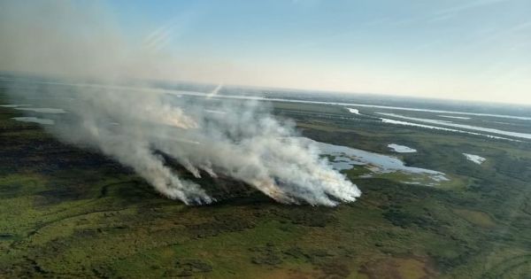 Importante accionista del Grupo Clarín sería dueño de campos con quemas en el Delta del Paraná