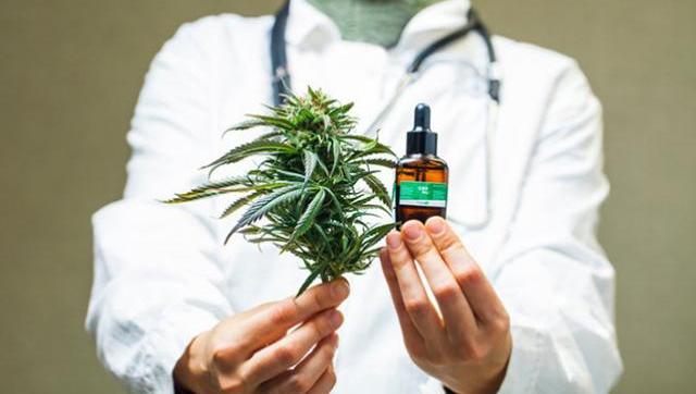 El Gobierno facilitó el acceso al cannabis para uso medicinal