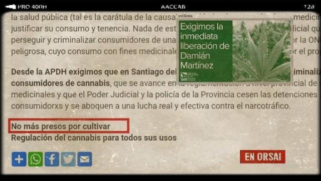 En Santiago del Estero detuvieron a un joven por cultivar cannabis con fines terapéuticos