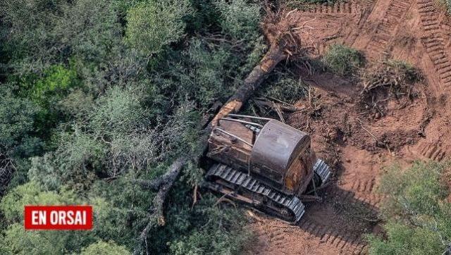 La pandemia no frenó las topadoras y en 2020 aumentó la deforestación en el norte