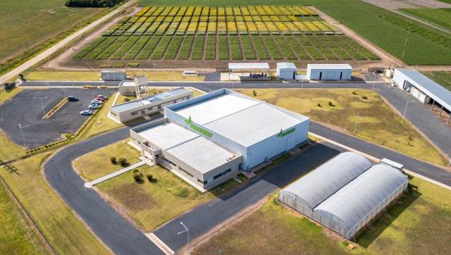 Una compañía mundial de semillas puso en marcha un Centro de Innovación en Venado Tuerto
