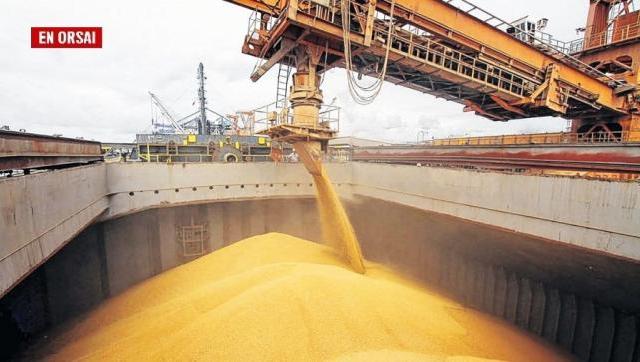 Récord: ventas anticipadas de trigo se duplicaron y fortalecen las expectativas de siembra