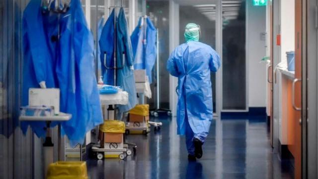 Jefa Terapia Anchorena: 