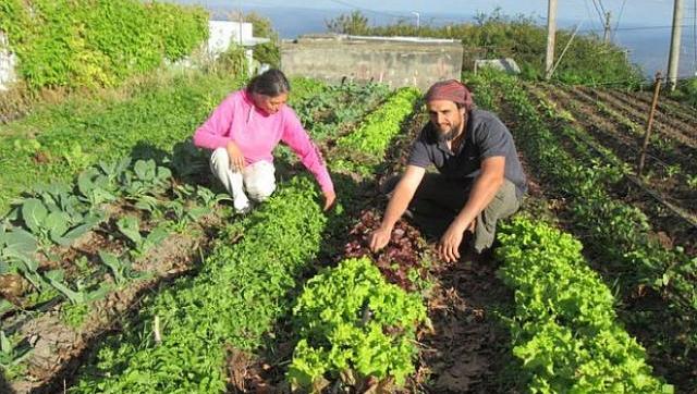 Agricultura Familiar: El Ministerio de Agricultura entregó $150 millones para financiar la producción en San Juan