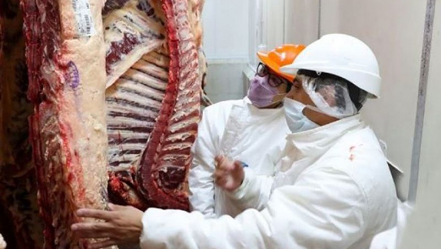 Suspenden a exportadoras de carne por una mega evasión
