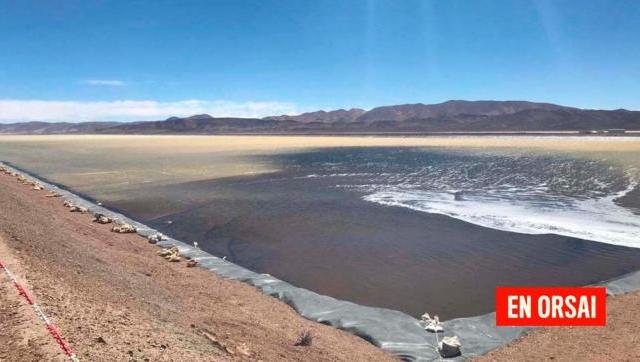 El gobierno construirá una planta de fabricación de celdas y baterías de litio
