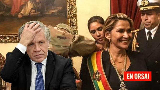 Congresistas norteamericanos proponen investigar el rol  de la OEA en las elecciones de Bolivia del 2019