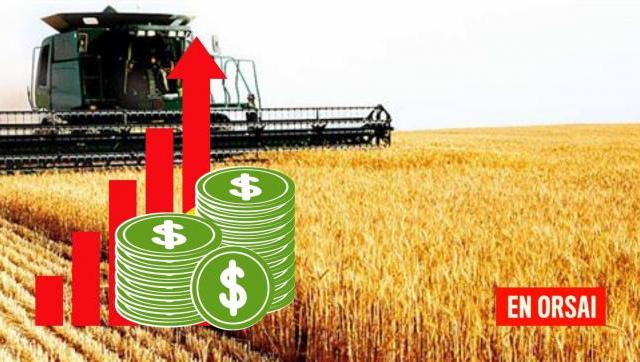 El trigo generará divisas en nuestro país por u$s4.500 millones