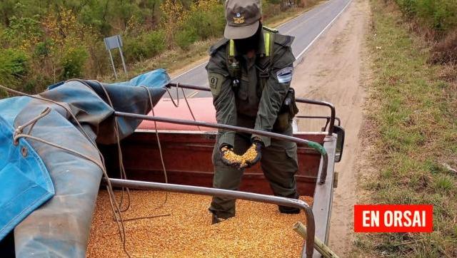 Contrabando de granos: Gendarmería neutralizó el tráfico ilegal de 180 toneladas de soja, maíz y lentejas