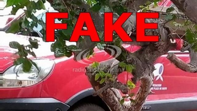 La vinculación de Madres de Plaza de Mayo con incendios era una FakeNews