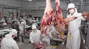 Frigoríficos: Cumplen o le aplican la ley de abastecimiento