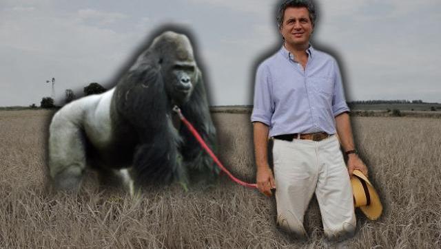 El ex funcionario de Cambiemos y ex presidente de la Sociedad Rural, Luis Etchevehere vuelve a amenazar al Gobierno