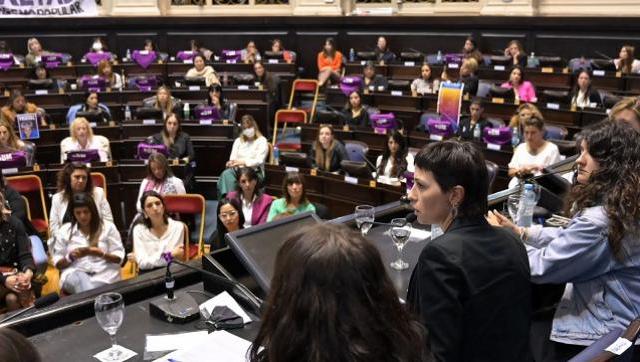 Se realizó el III Parlamento de las Mujeres y Diversidades en la Legislatura Bonaerense