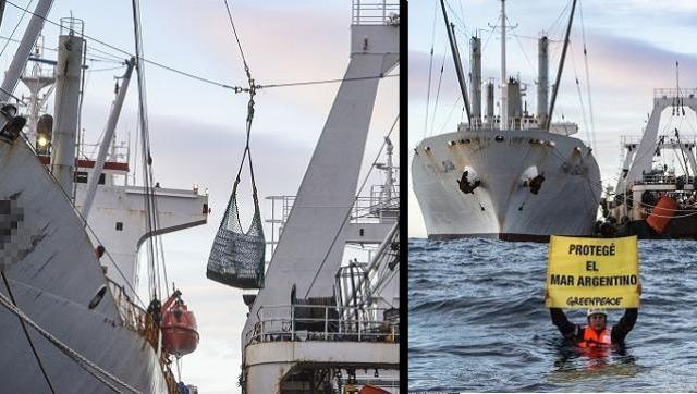 Barcos frigoríficos en altamar: activistas de Greenpeace denunciaron transbordos