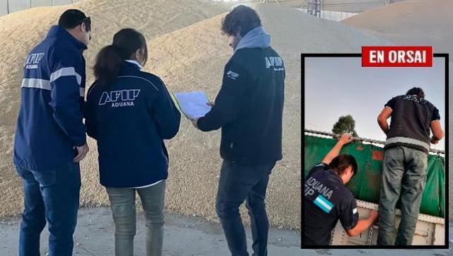 Mafia agroexportadora: la Aduana desmanteló 60 sociedades fantasmas para la de fuga de divisas