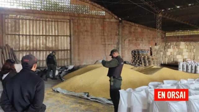 Gendarmería incautó 80 toneladas de maíz en nueve allanamientos