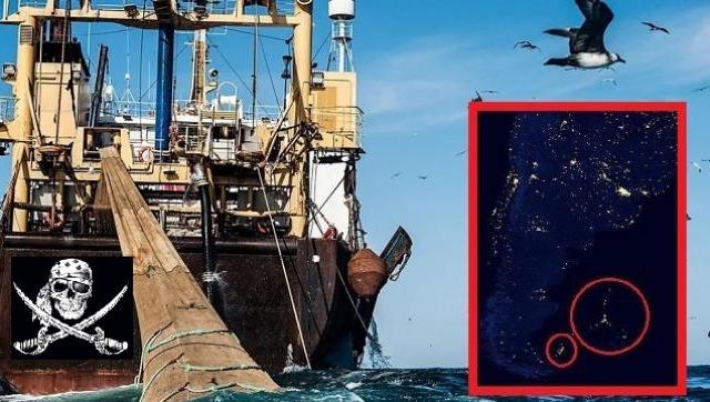 Pesqueros ingleses operan ilegalmente cerca de las islas Georgias del Sur