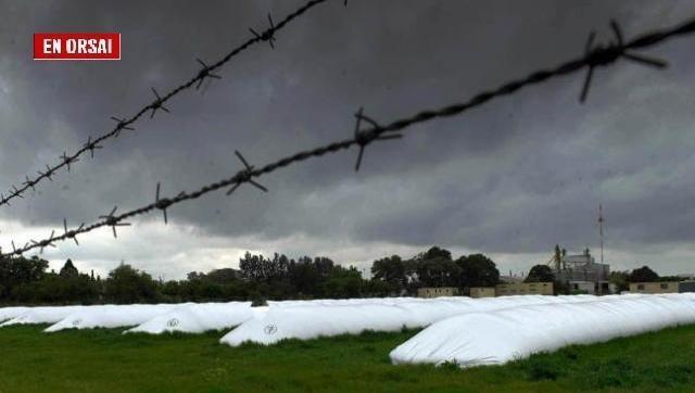 campo Argentino especulando con granos en silobolsas