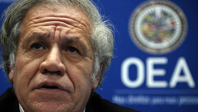 Luis Almagro es investigado en la OEA por la relación con una empleada - foto:almagro-oea-AFP