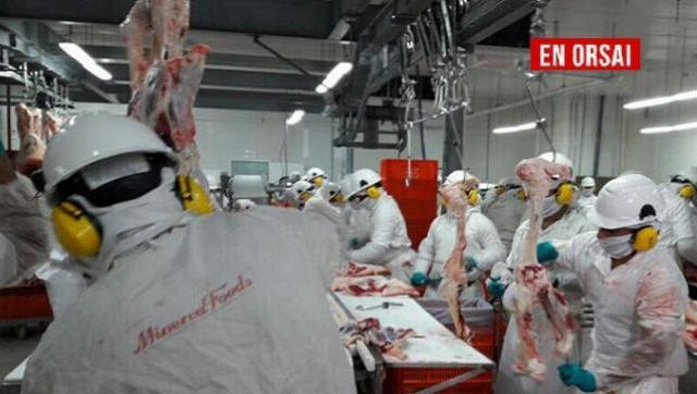 Exportan a Qatar cortes de carne argentina, de alto valor, con certificación Halal Exportan a Qatar cortes de carne argentina, de alto valor, con certificación Halal