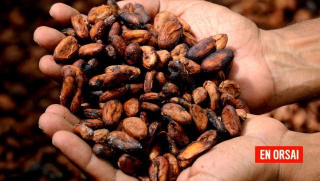 Esclavitud, trata y trabajo infantil en la industria del cacao