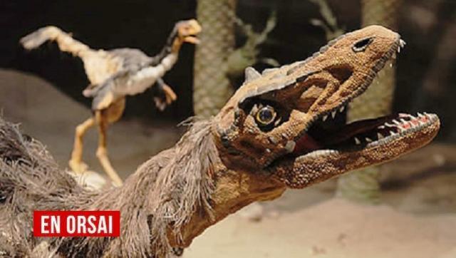 El museo paleontológico de Trelew, uno de los más grandes del mundo
