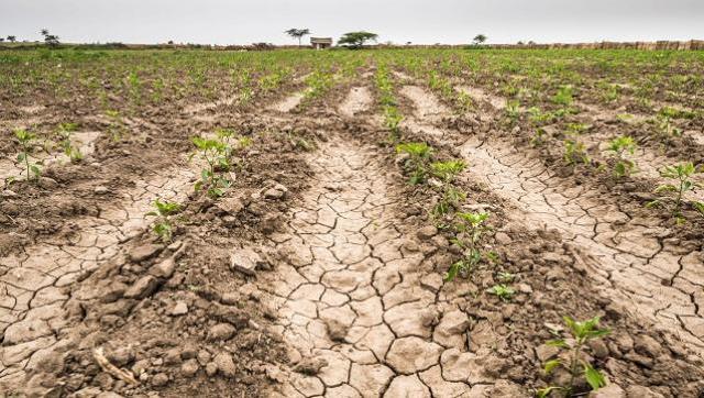 El Gobierno lanzó un paquete de ayuda fiscal y créditos para los productores afectados por la sequía