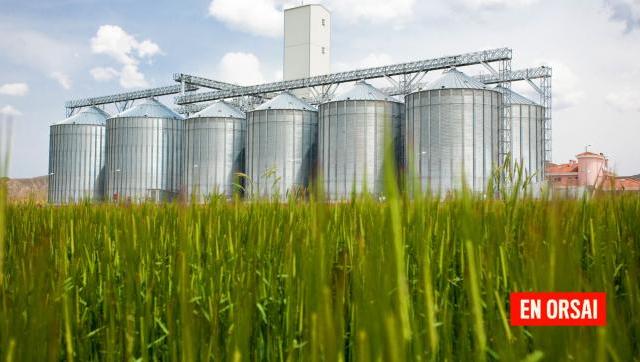 Cuatro cerealeras realizaron maniobras para evadir el pago de 50 millones de dólares en retenciones